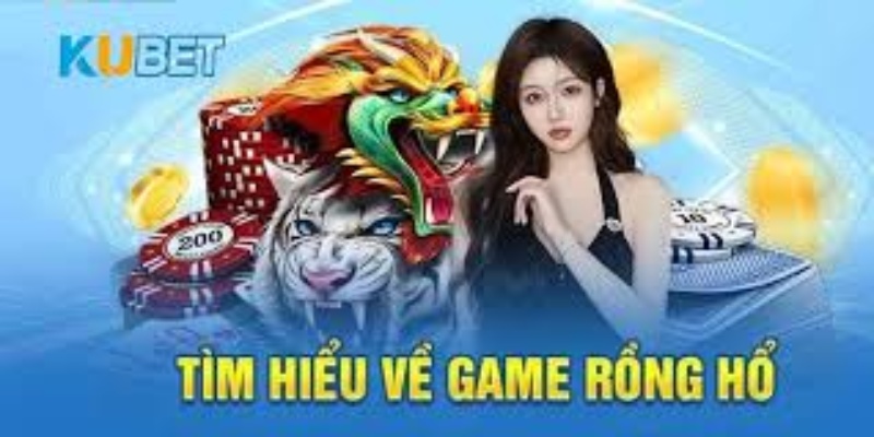 Tại sao nên chọn Long Hổ tại KUBET.SITE?